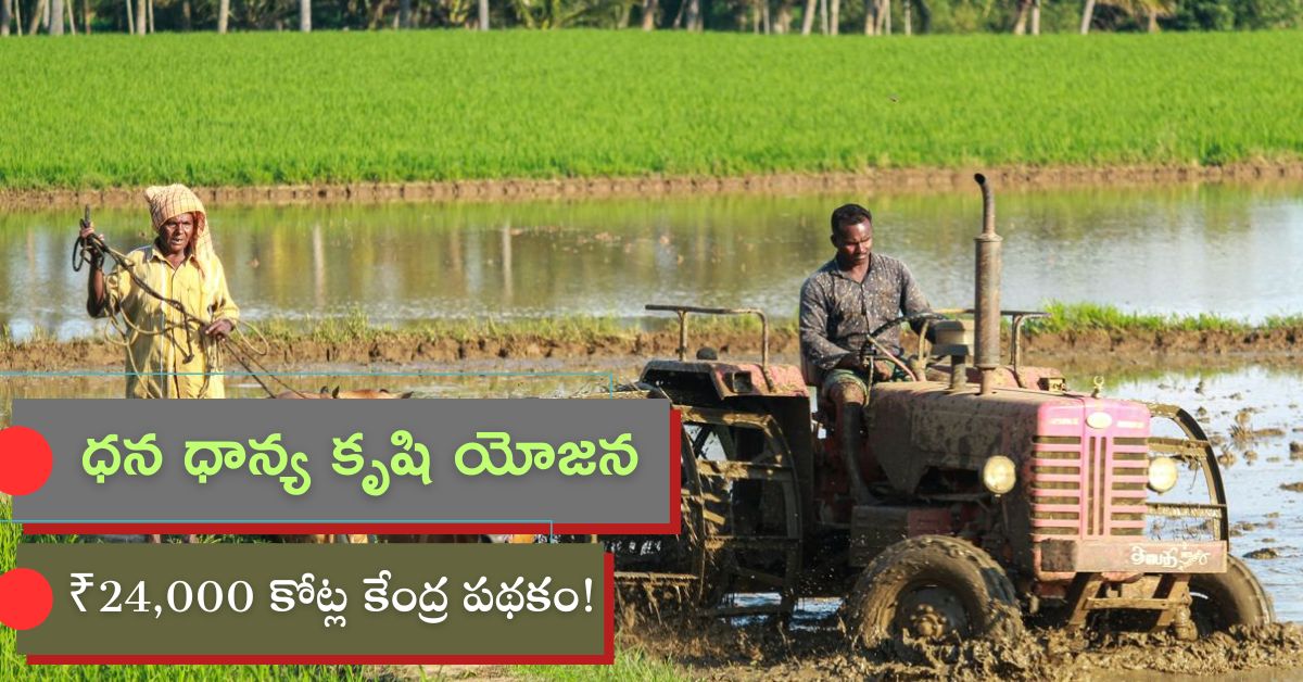 Dhan Dhanya Krishi Yojana